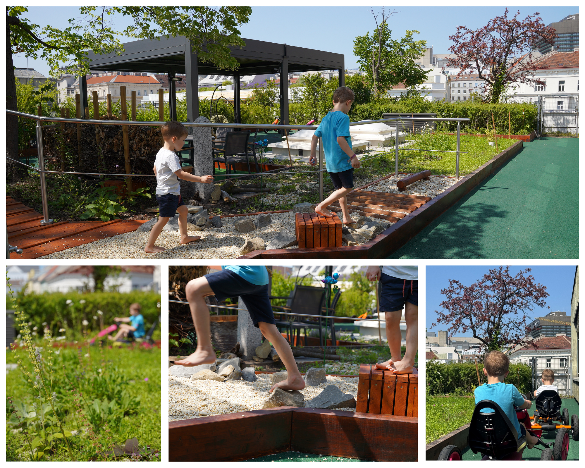 Bilder aus dem Dachgarten