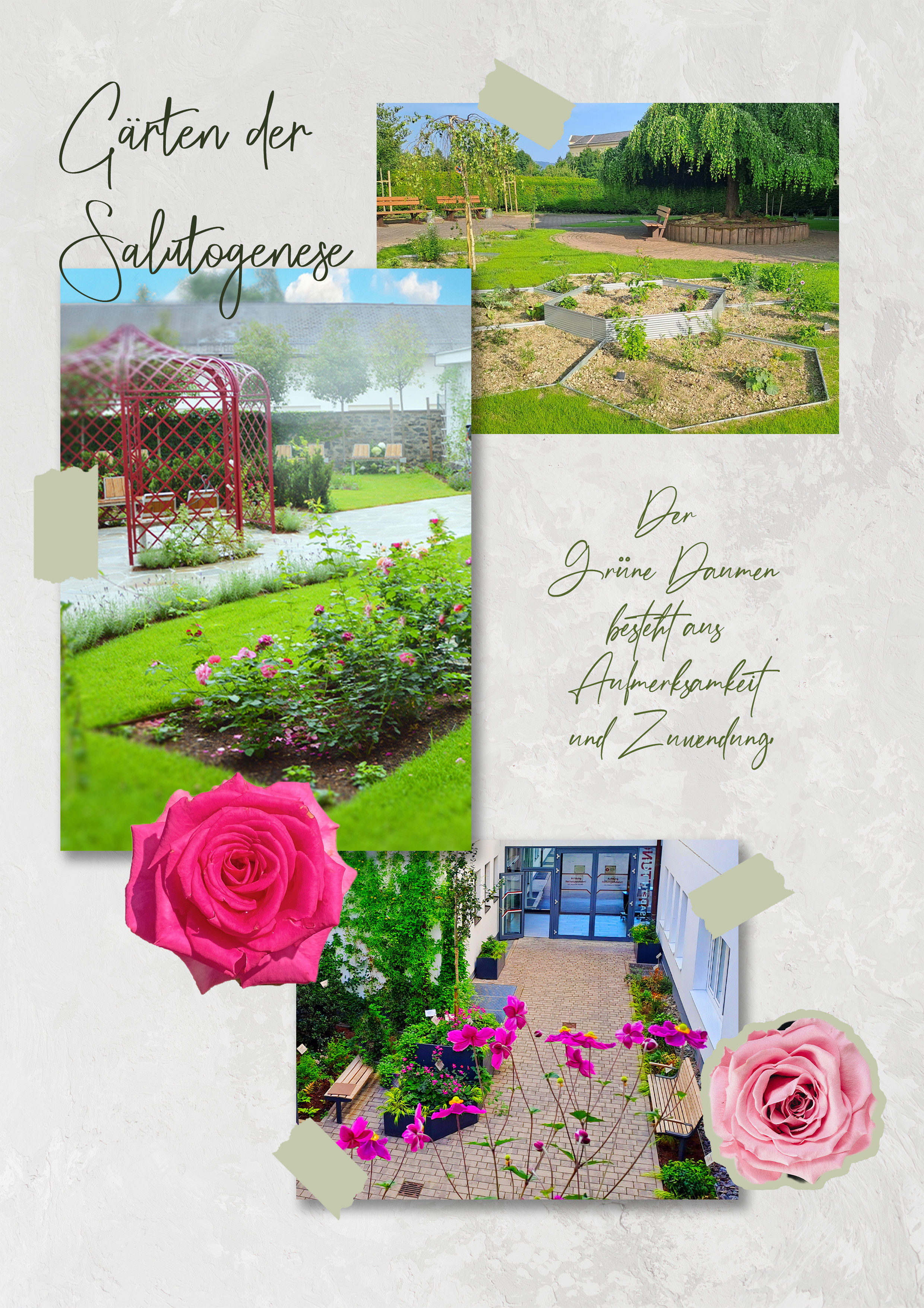 Beispielhafte Bilder des Gartens