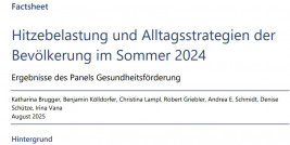 Factsheet Hitzebelastungen und Alltagsstrategien der Bevölkerung im Sommer 2024