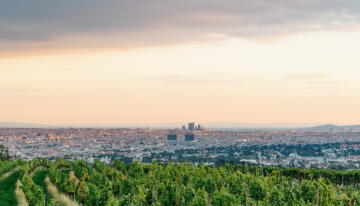 Landschaftsbild von Wien