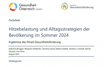 Factsheet Hitzebelastungen und Alltagsstrategien der Bevölkerung im Sommer 2024