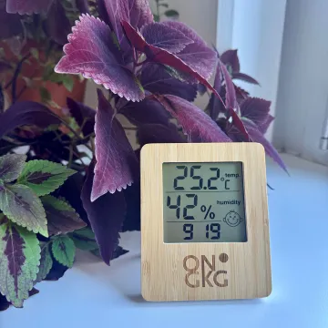 Wetterstation ONGKG